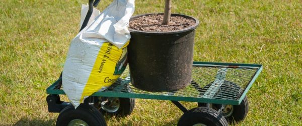 What Type of Gardening Cart Do You Need?