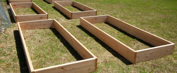 Tips For Measuring & Spacing Raised Garden Beds