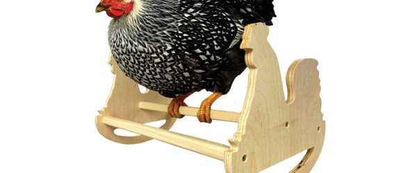 Chicken General Store: Chic(k) Decor For the Coop & Home